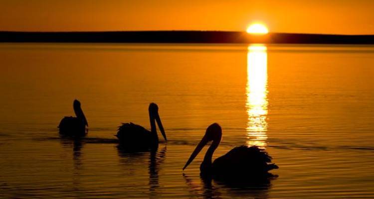 Uluru Adventure ex Yulara (Original) - Intrepid Travel