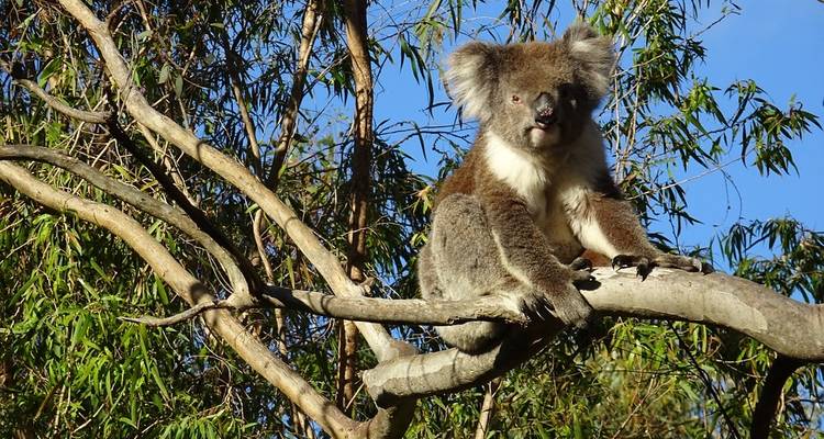 Perth to Adelaide Overland - Intrepid Travel