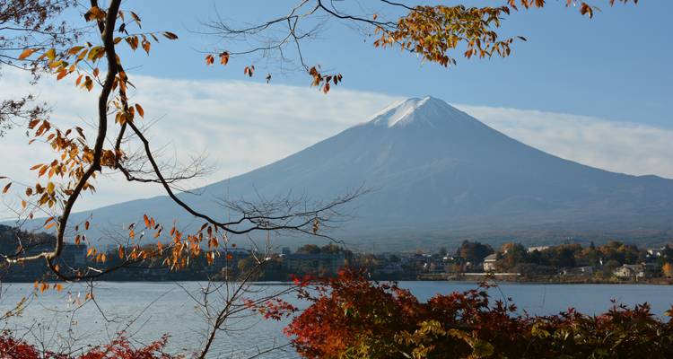 Japan Kanto - 5 days - Super Value Tours