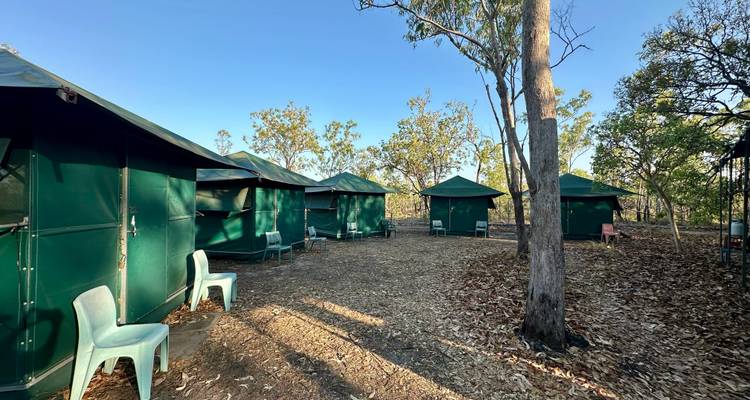 Zone de camping avec tentes en toile dans un environnement forestier.