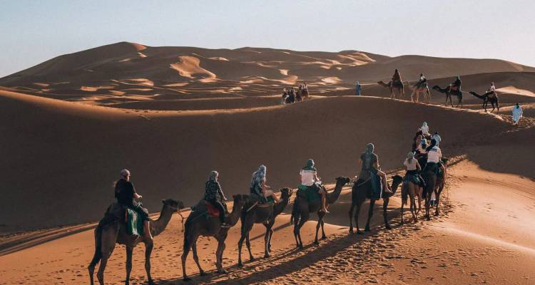 Karawanengruppe von Touristen auf Kamelen, die unter sanftem Morgenlicht über wellenförmige Dünen wandert.