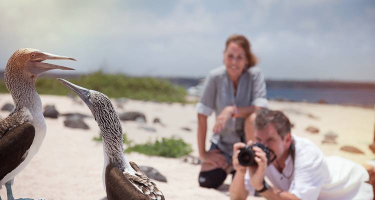 Galápagos — South Islands aboard the Xavier III - G Adventures