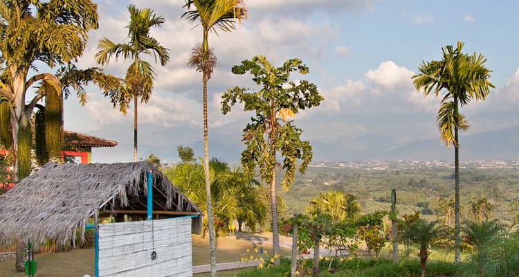 Scenic rural view with palm trees and a small thatched hut overlooking a broad green valley.