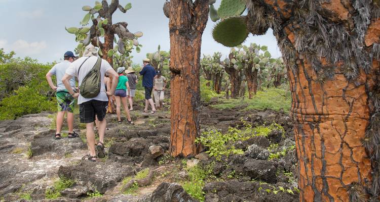 Galápagos Land & Sea — North & Central aboard Estrella del Mar - G Adventures