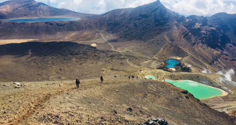 Northern Wanderer from Auckland - top rated by National Geographic - Flying Kiwi