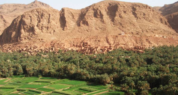 Verdant palm oasis and cultivated fields spread beneath towering red cliffs in southern Morocco.