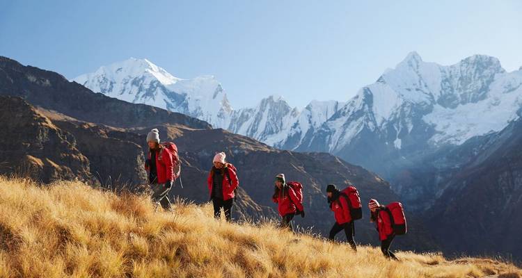 Line of trekkers in red gear traverse golden grass ridge with dramatic Annapurna range behind.