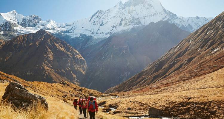 Trekkers with backpacks follow a mountain trail through a golden alpine valley below snow-covered Himalayan peaks.