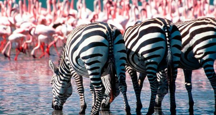 Ethiopian & Kenyan Rift Valley & Wildlife (Addis Ababa to Nairobi) - Dragoman
