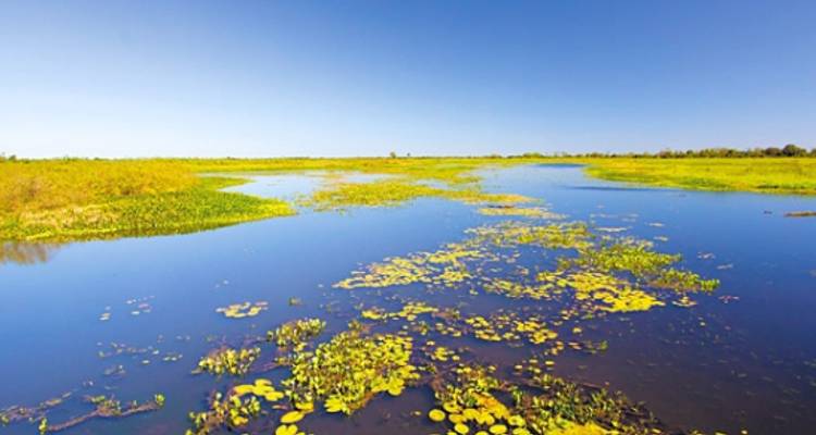 Brazil Pantanal Experience - Independent - Peregrine Adventures