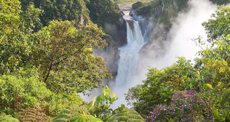 Cloud Forest Experience - Independent - Peregrine Adventures
