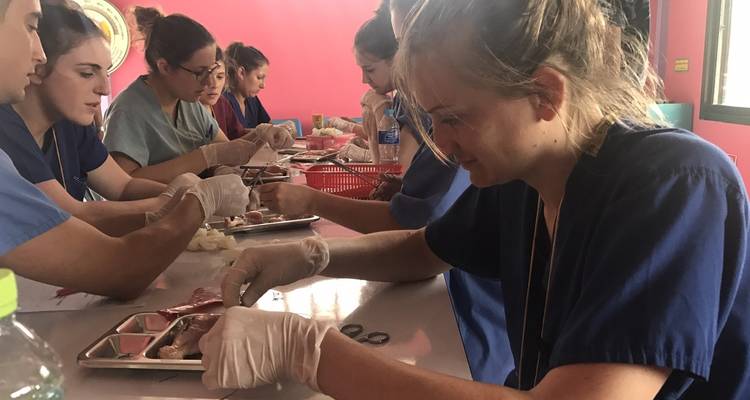 8 Week Healthcare/Medical Experience, Thailand - Starfish Adventure