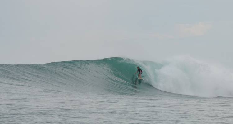 Un surfeur solitaire glissant à l'intérieur d'une vague verte qui s'enroule sous un ciel pâle.