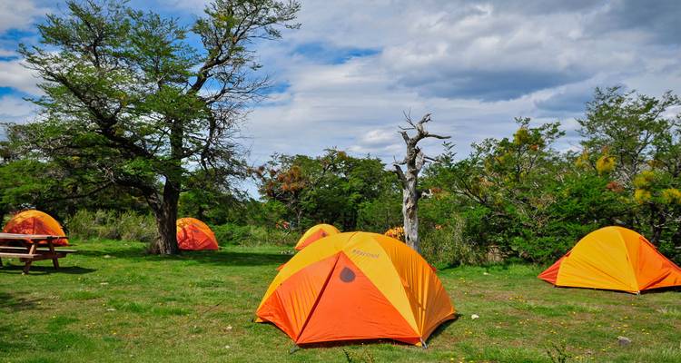 Terrain de camping herbeux parsemé de tentes orange vif sous des arbres dispersés et un ciel partiellement nuageux.
