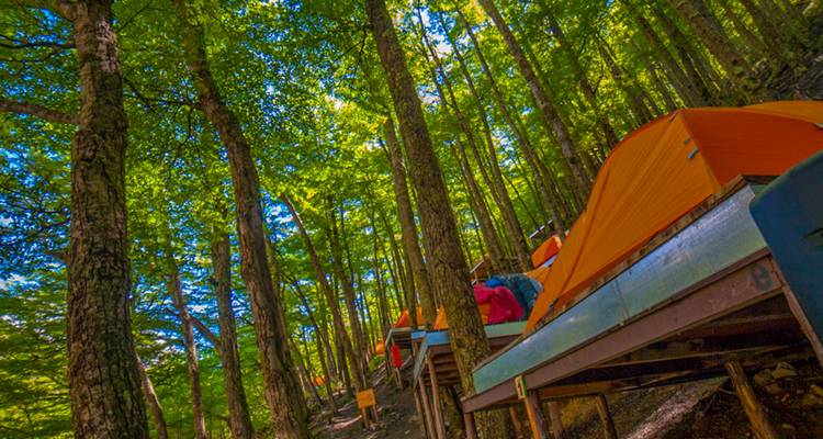 Des plates-formes en bois surélevées avec des tentes orange vif situées dans une forêt verte dense, suggérant un camping reculé sur un versant de colline en pente.