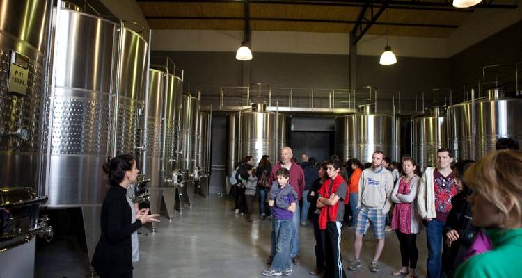 Mendoza Wine & Mountains Adventure 4D/3N - Bamba Experience