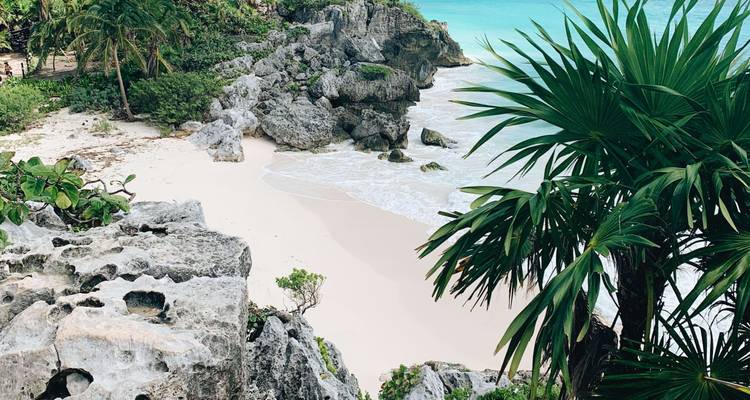 A secluded white-sand cove bordered by limestone cliffs and lush palms meets turquoise Caribbean water.