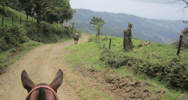 Costa Rica Flexipass 6 with 1 free activity - Bamba Experience