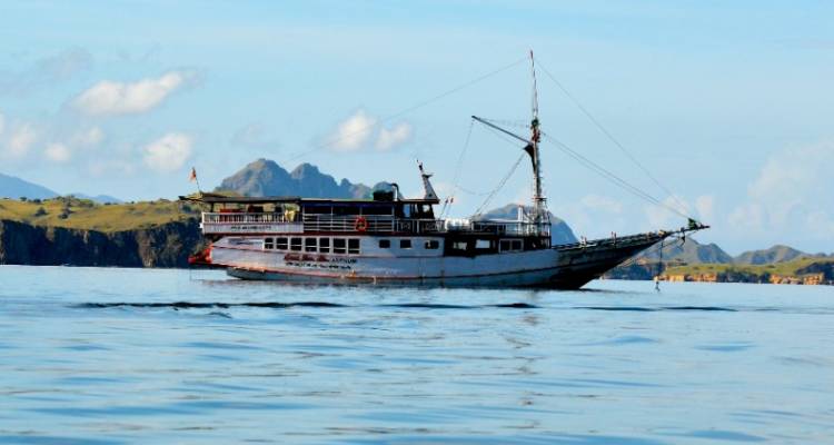 Komodo Dragon Expedition - Bamba Experience