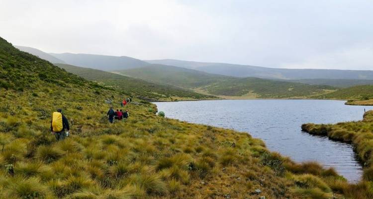 Mount Kenya Trek (Sirimon Route) 4D/3N - Bamba Experience
