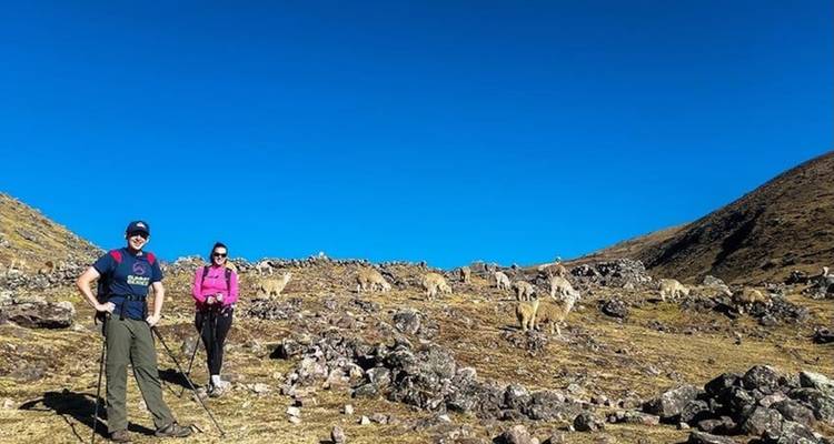 Excursionistas en un paisaje de gran altitud con cielo azul.