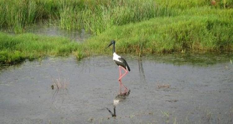 Kakadu Adventure 3D/2N (Wet Season) - Bamba Experience