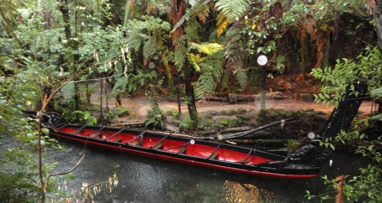 Two Islands Ways (from Auckland) - Bamba Experience