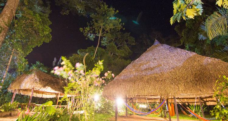 Thatched jungle huts lit warmly at night with hammocks strung between posts amid lush vegetation and starry sky.