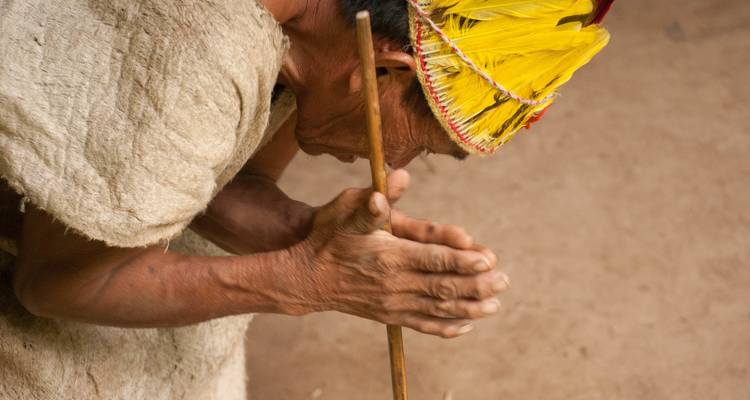 Indigenous elder bows over a wooden stick in a traditional ritual or craft, wearing a yellow feathered headdress.
