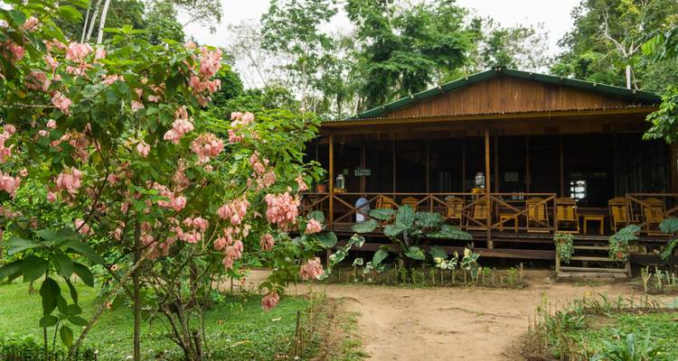 Chalet en bois entouré d'une végétation luxuriante et de fleurs.