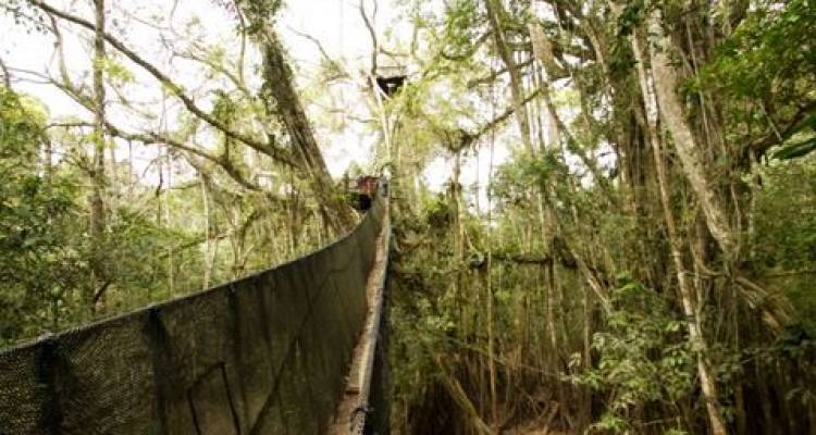 Puerto Maldonado Amazon Eco-Lodge (Night Bus from Cuzco) (5 days) - Bamba Experience