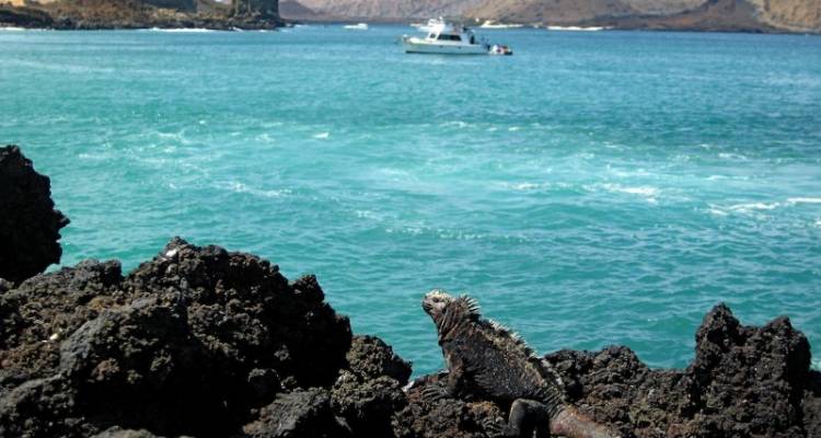 Galapagos Island Hopping Adventure 7D/6N - Bamba Experience
