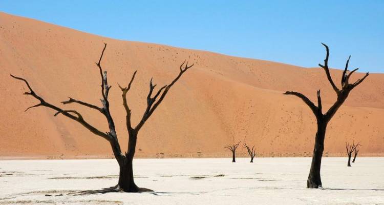 3 Day trip to the Namib Desert, including Sesriem and Sossusvlei - Wild Dog Safaris