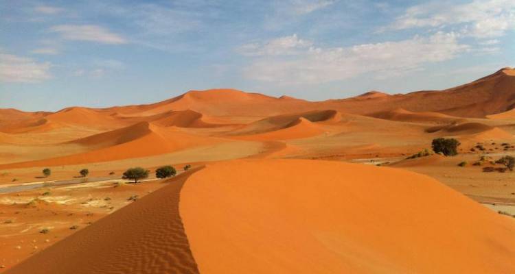 10 Day Namibian Explorer - Wild Dog Safaris