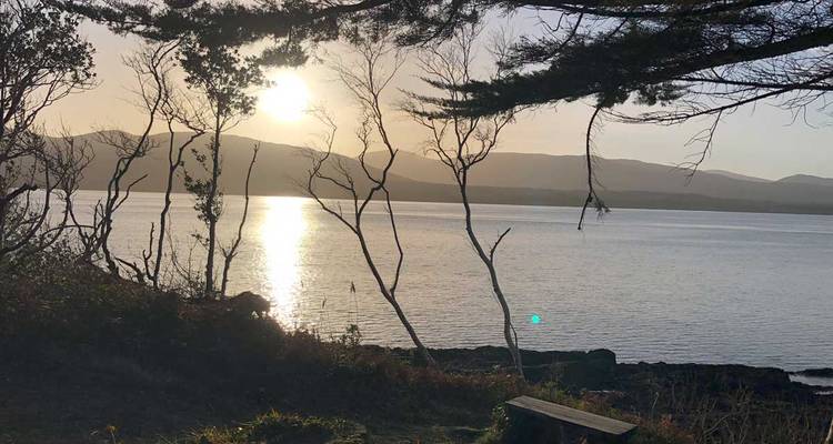 Une vue panoramique d'un lac avec des montagnes en arrière-plan, encadrée par des branches d'arbres.