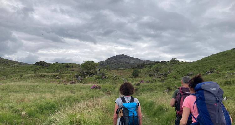 Trois randonneurs avec des sacs à dos marchant à travers un paysage herbeux vers les montagnes.