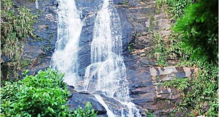 The Tijuca Forest Walking Tour - Local 55 travels