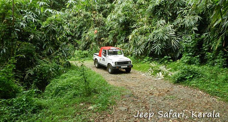 Best of Kerala - GeTS Holidays