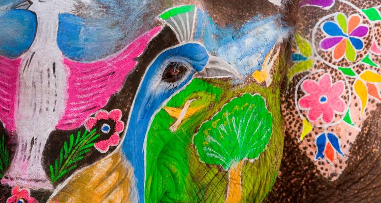Œuvre d'art colorée peinte sur le corps d'un éléphant.