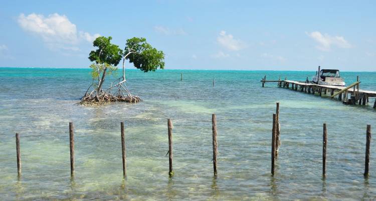 Caye Caulker & Isla Bonita 5D/4N - Bamba Experience