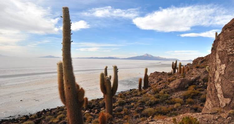 Atacama & Uyuni Salt Flats Adventure 7D/6N - Bamba Experience