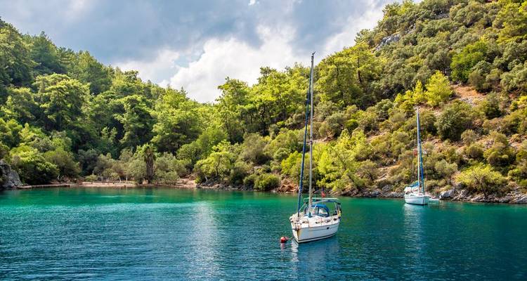 Emerald cove surrounded by dense pines with two anchored sailboats floating on clear water