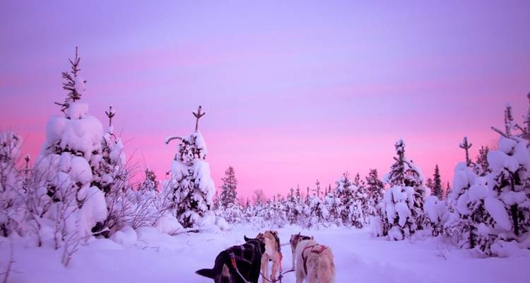 Adventure to Finnish Lapland, Saariselkä - Timetravels