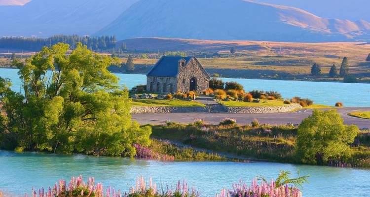 Stray - Southern Gems Pass (South Island) - Stray Travel