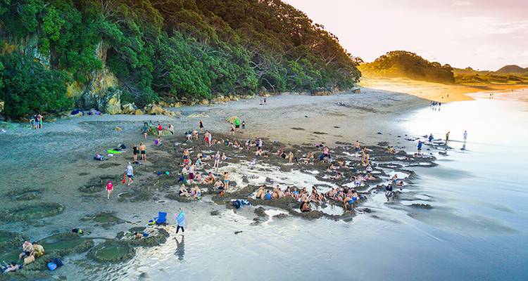 Stray - Short North Pass (North Island) - Stray Travel