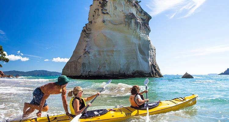 Stray - Big North Pass (North Island) - Stray Travel