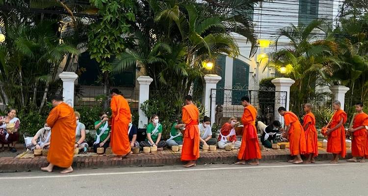 Monjes con túnicas naranjas caminando junto a personas sentadas en una calle con vegetación.