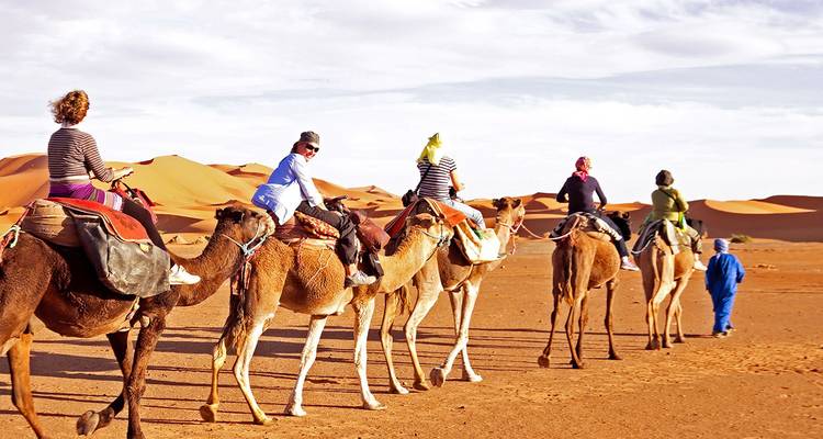Les touristes chevauchent une caravane de chameaux menée par un guide à travers les dunes de sable doré du Sahara sous un ciel dégagé.