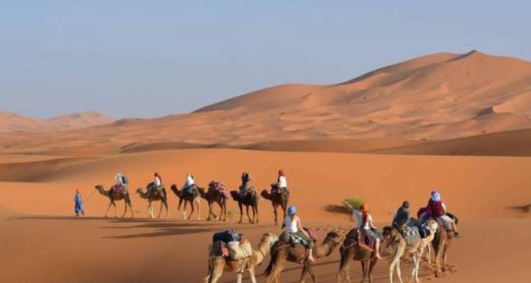 Road to Casablanca - 9 Days - On The Go Tours