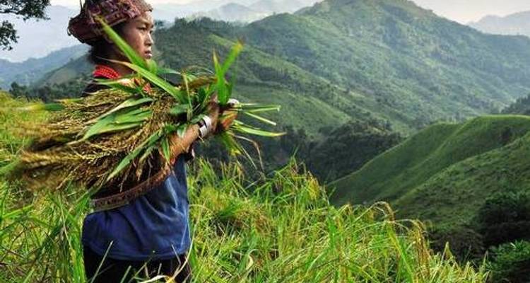 Laos Family Adventure - World Expeditions